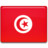 Tunisia Flag Icon